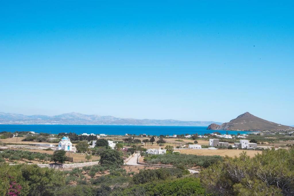 Sunny Studio W.Breathtaking Naxos Views In Isterni Daire Isterni  Dış mekan fotoğraf